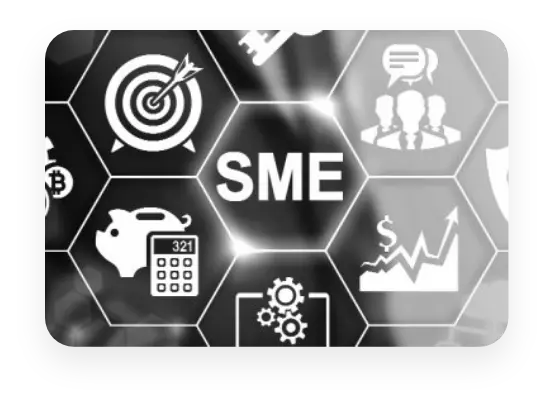 Small and medium enterprises